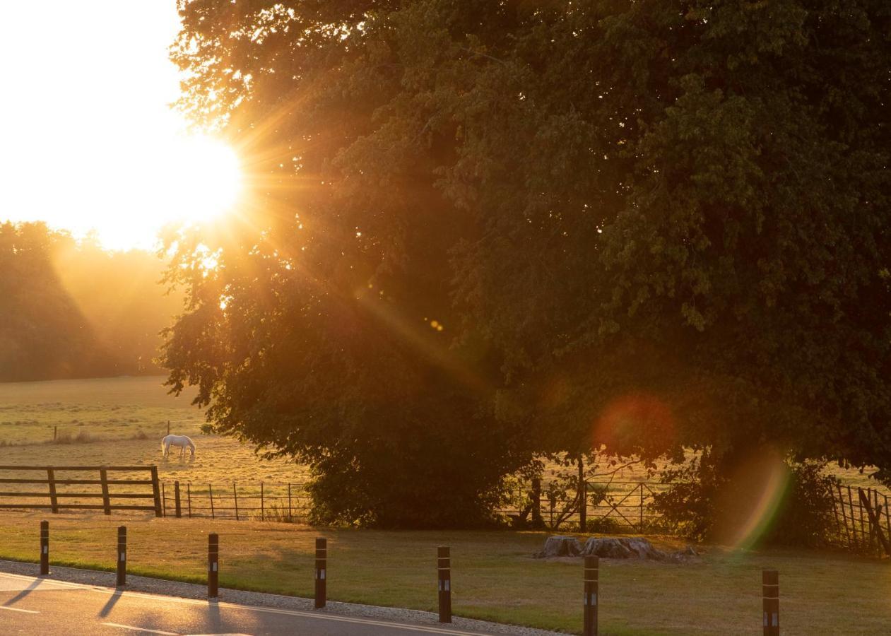 Castlemartyr Resort Hotel Exterior foto The Oak of the Witches